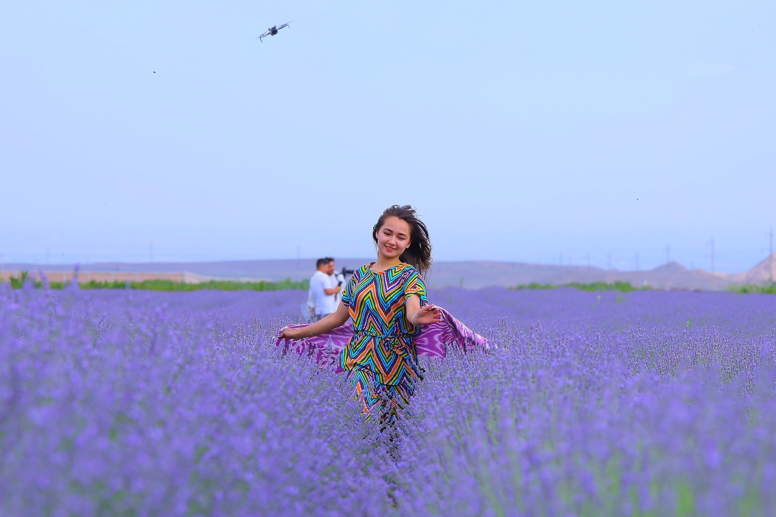 Pop wrapped in the scent of lavender: a unique destination for festival guests