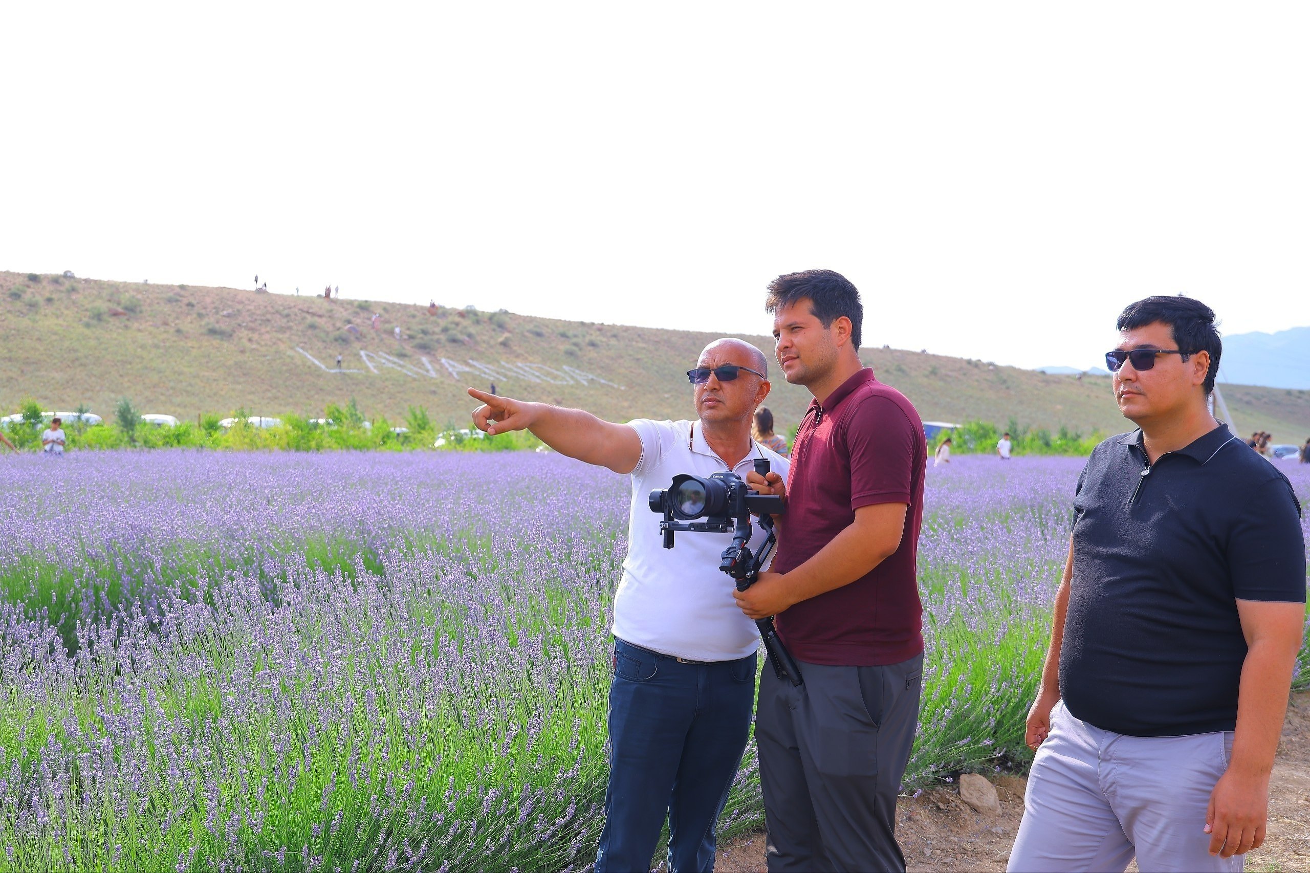 Pop wrapped in the scent of lavender: a unique destination for festival guests