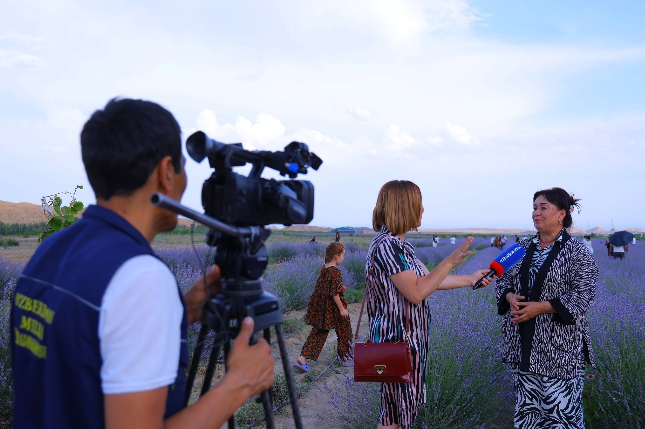 Pop wrapped in the scent of lavender: a unique destination for festival guests