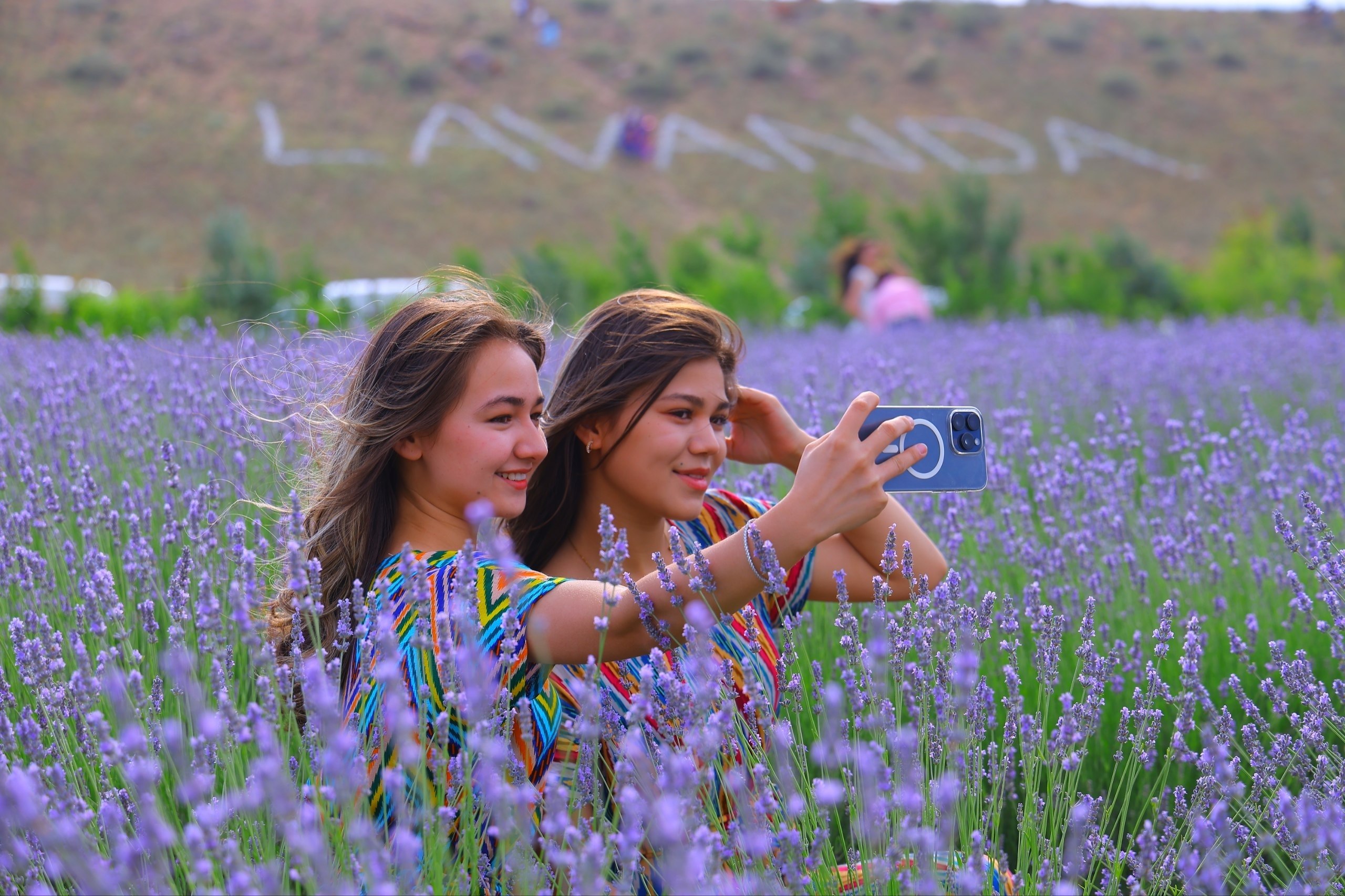 Pop wrapped in the scent of lavender: a unique destination for festival guests